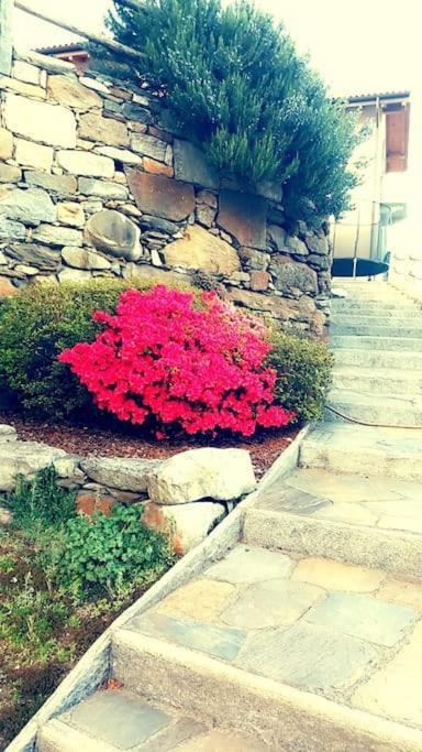 Casa Neva Διαμέρισμα Cannobio Εξωτερικό φωτογραφία